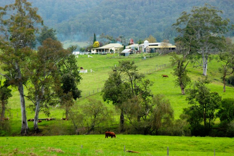 This photo is taken from the back ridge looking towards the houses and yards shed etc