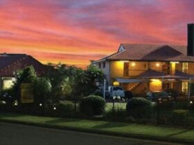 Avlon Gardens at nightime