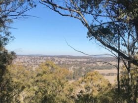 Back to Nature Bush Camping