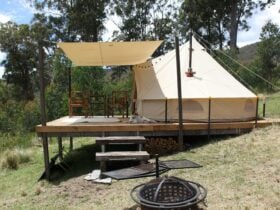 BAJIMBA Eco Camping and Farm Stay