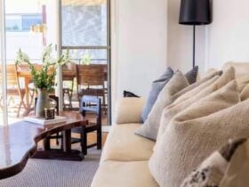 comfy lounge, timber coffee table, flowers in vase. light filled
