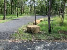 Campsite 1 in Bandahngan campground. Credit: Allan Goodwin © DCCEEW