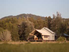 bawley point glamping safari tent