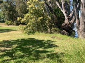 Banks of the Murray, Corowa