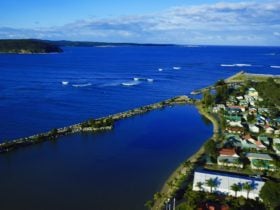 Coachhouse Aerial View