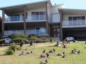 Batemans Baytime Bed and Breakfast