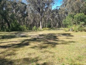 Campsite