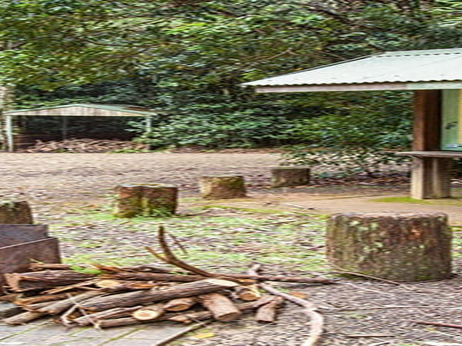 Information sign and barbecue at Bellbird campground in Washpool National Park. Photo: Robert Cleary