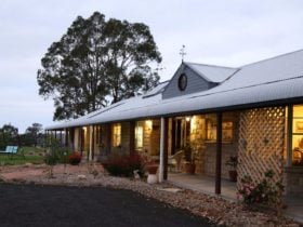 BellbirdHill Bed and Breakfast