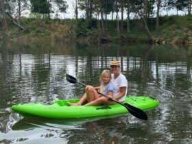 Bellinger River Camping