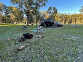 Nice cleared area to setup under a tree or in the middle up to you.