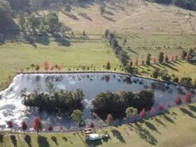 Camping beside the dam.