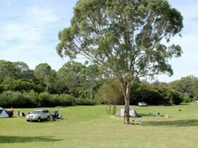 Bents Basin campground. Photo: John Yurasek © DPIE