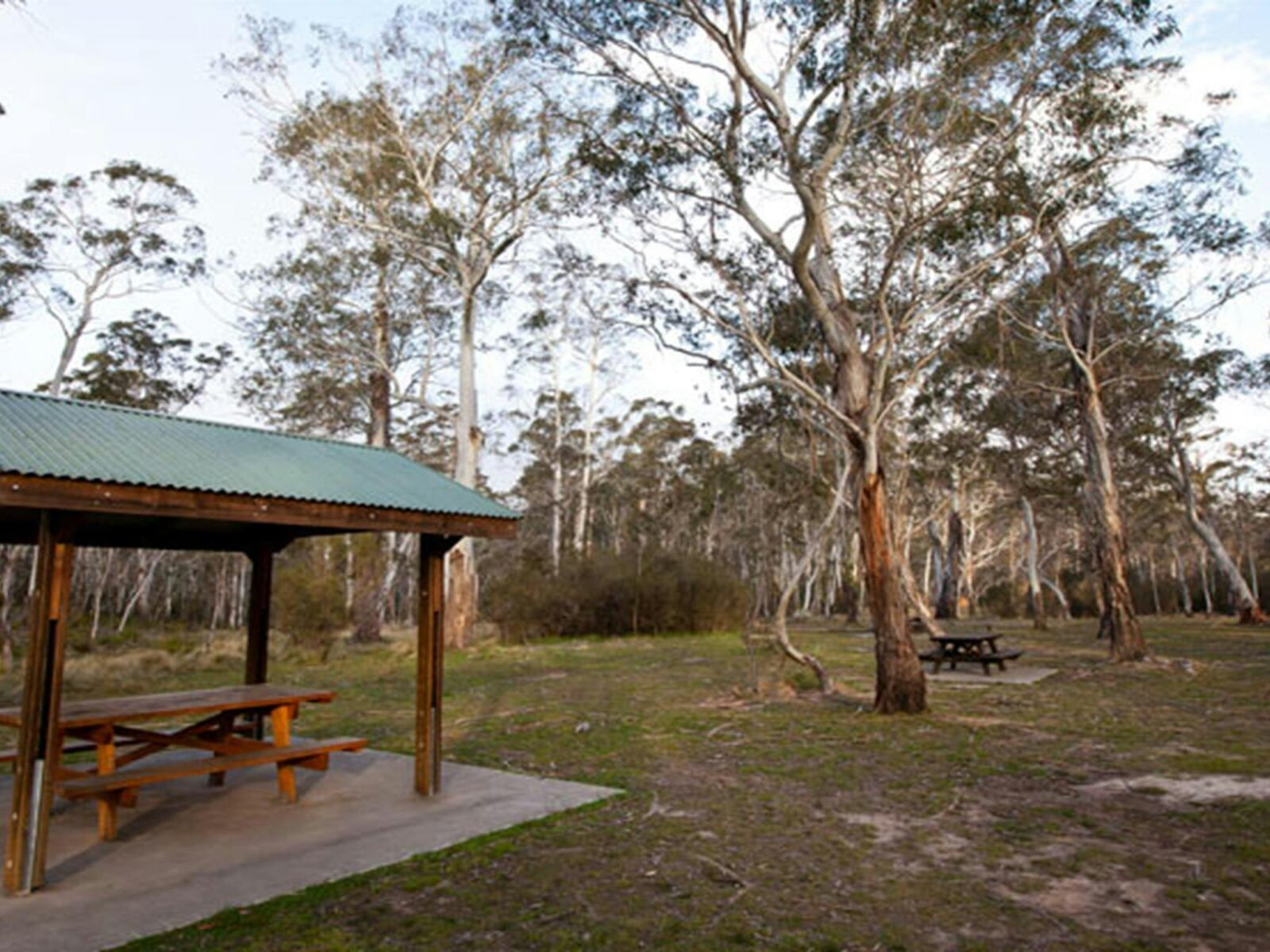 Berlang campground shelter, Deua National Park. Photo: Lucas Boyd © OEH
