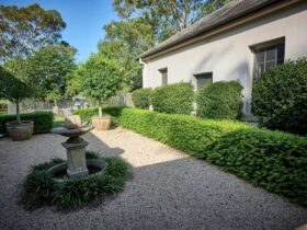 Berry House