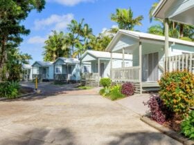 Image of holiday cabins within a caravan park