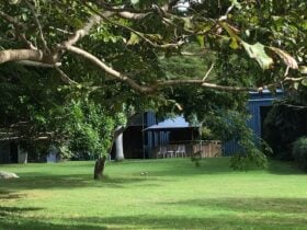 Big Blue Barn