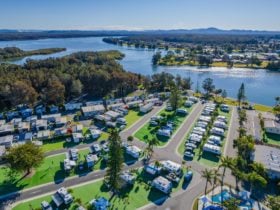 Drone Shot of BIG4 Great Lakes at Forster Tuncurry
