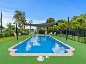 BIG4 Ingenia Holidays Wagga Wagga Pool