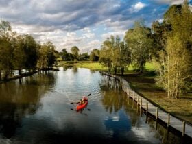 Leisure time kayaking on the beautiful Myall River in Bulahdelah