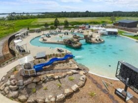 The Oasis