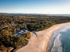 THP_RacecourseBeach_BeachView