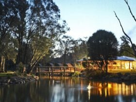 Dusk at Billabong Camp, Taronga Western Plains Zoo, Dubbo