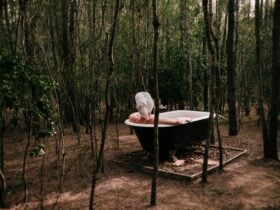 Billabong Moon - Tree Tops Lodge