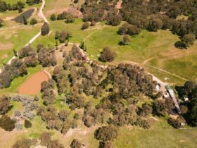 Flyover of part of the farm