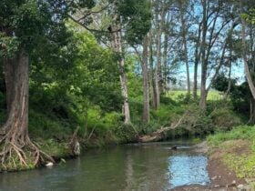 Border Ranges Pastoral