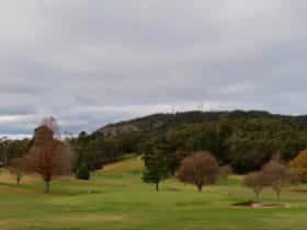 Boronia Lodge Apartments