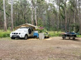 A camper trailer and picnic bench at Boundary Falls campground. Credit: Leah Pippos © DCCEEW