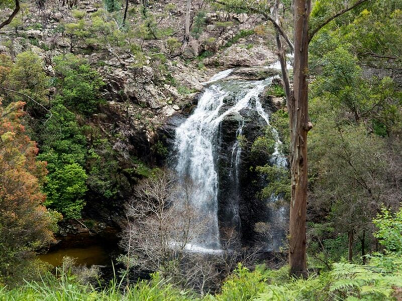 Boundary Falls waterfall. Credit: Leah Pippos © DCCEEW