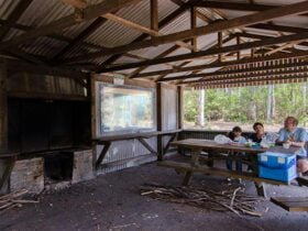 Brushy Mountain campground. Photo: John Spencer/NSW Government