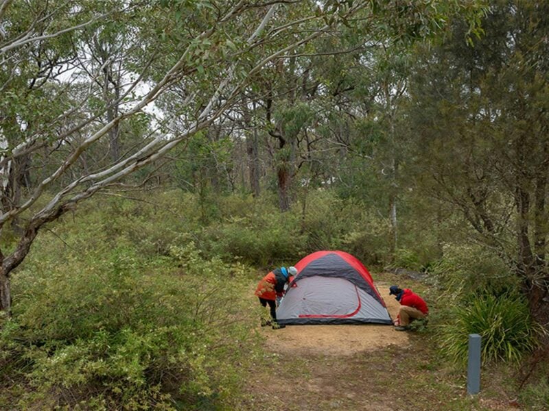 Campers setting up their tent among bushland at Bungonia campground. Photo: John Spencer/DCCEEW