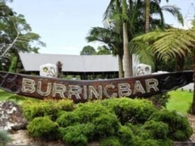 Burringbar Camping