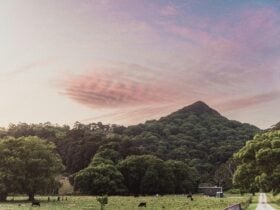 Tiny home at the foot of Mount Chincogan at sunset