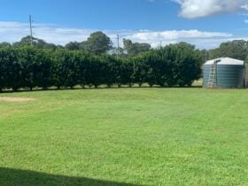 Calbria Farm