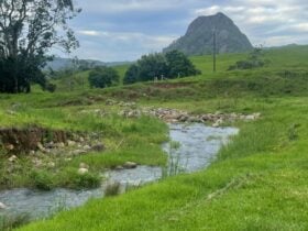 Caldera Creek Farm