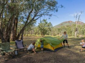 A family setting up their tent at Camp Blackman. Credit: John Spencer © DCCEEW