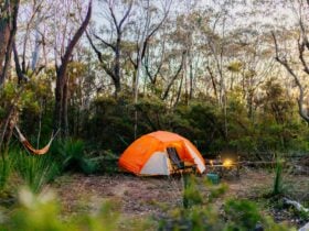 Camp Medlow