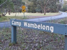 Camp Wambelong, Warrumbungle National Park. Photo: Rob Cleary/DPIE