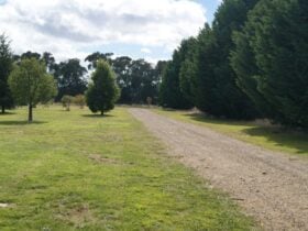 Camp Yarrindi