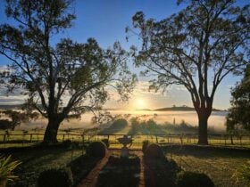 Sunrise from verandah