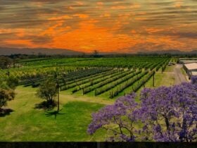 Canoelands Orchard Camping