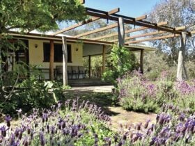 Capertee Homestead gardens, Capertee National Park. Photo: Anjee du Terreau/OEH