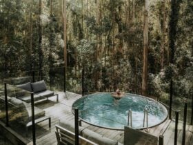 The plunge pool at Tathra House, Carawirry Forest Escape