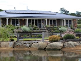 Guesthouse garden and dam