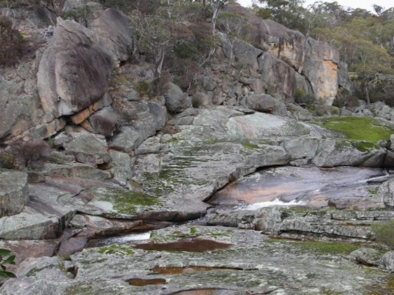 Wadbilliga National Park. Photo: L Morrell/OEH