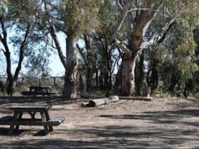 Picnic table at Cawndilla campground. Photo: Dinitee Haskard OEH